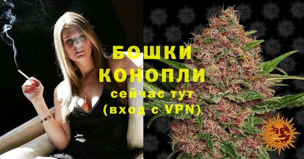 прущий лед Великий Новгород