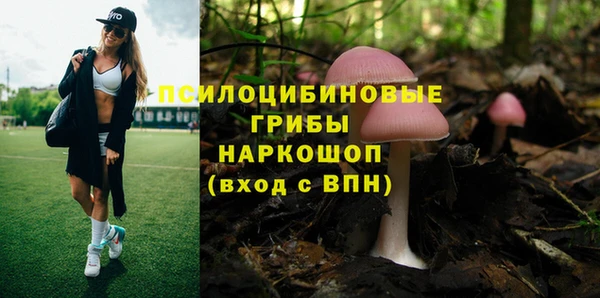 эйфоретик Киреевск