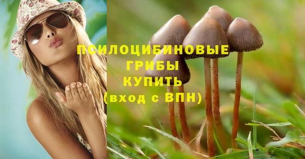 экстази Каменка