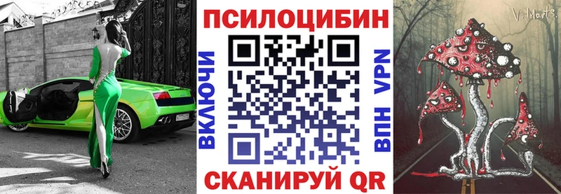 блэк спрут зеркало  Чистополь  маркетплейс какой сайт  Псилоцибиновые грибы мицелий 